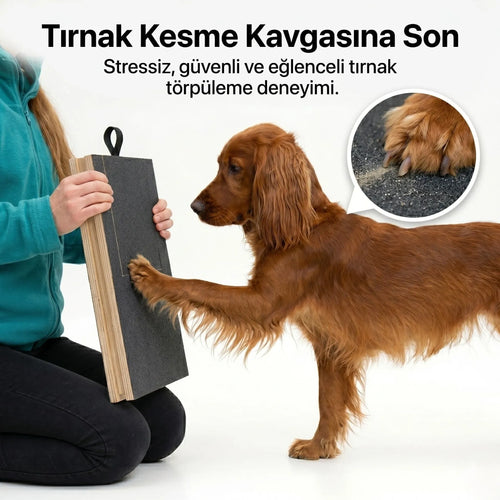 Köpekler için Tırnak Törpüleyen Tırmalama ve Eğitim Tahtası